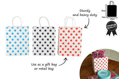 STAR GIFT BAG LARGE 3 ASST COL 21X11X27CM