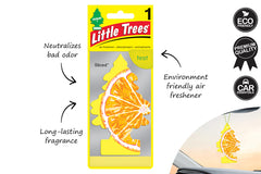 LITTLE TREE 1 PACK SLICED